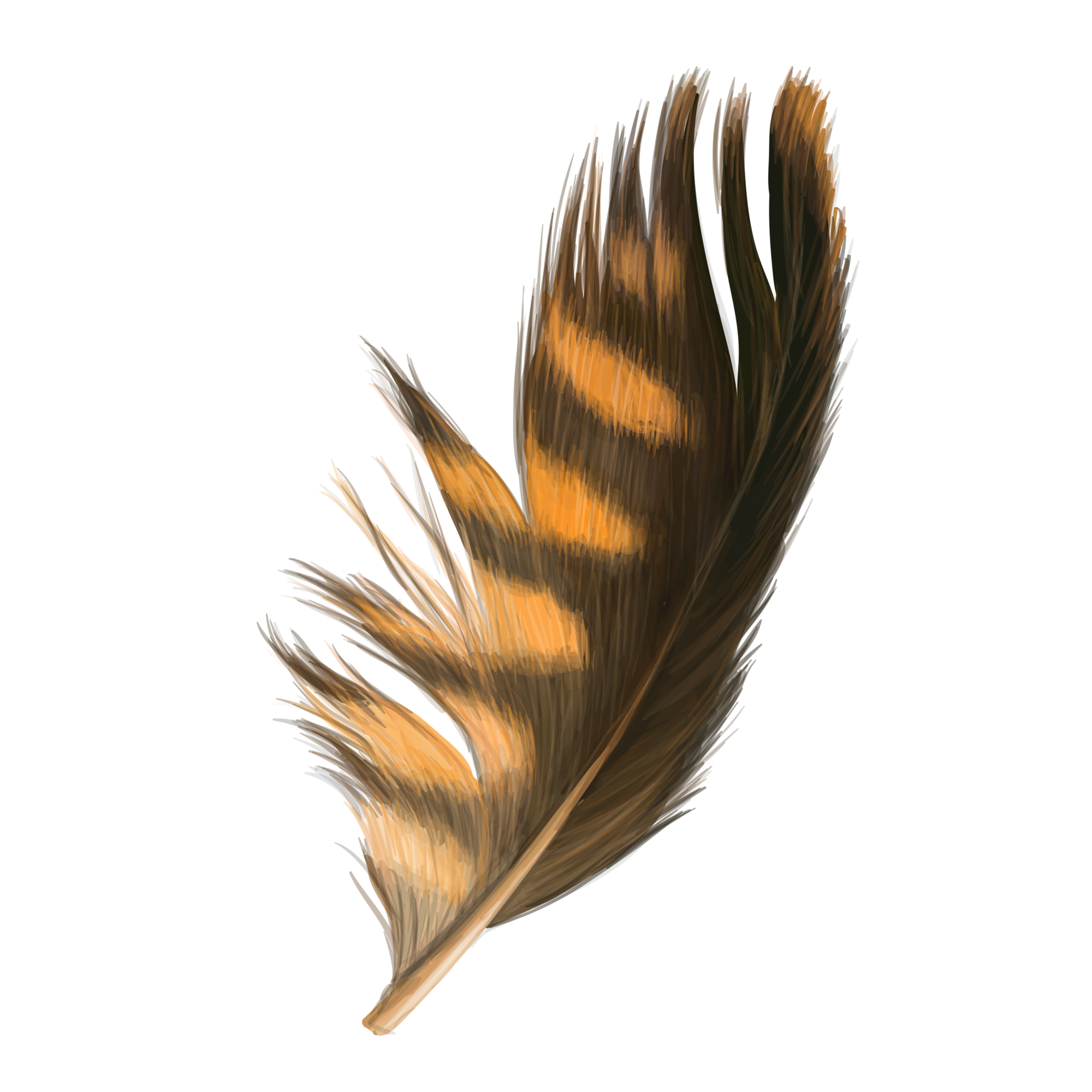 Energetic Massage Sacred Balance Sacred Balance Kinesiology Ringwood North 3134