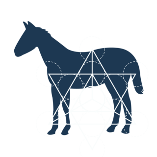 Equine Kinesiology Sacred Balance Ringwood North